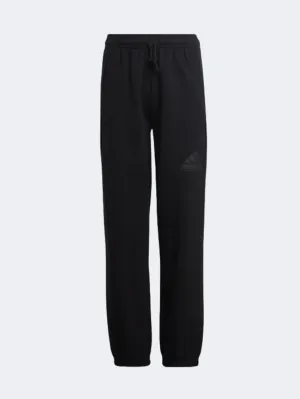 Adidas Future Icons Logo Tracksuit Gs Sportswear Pant Black