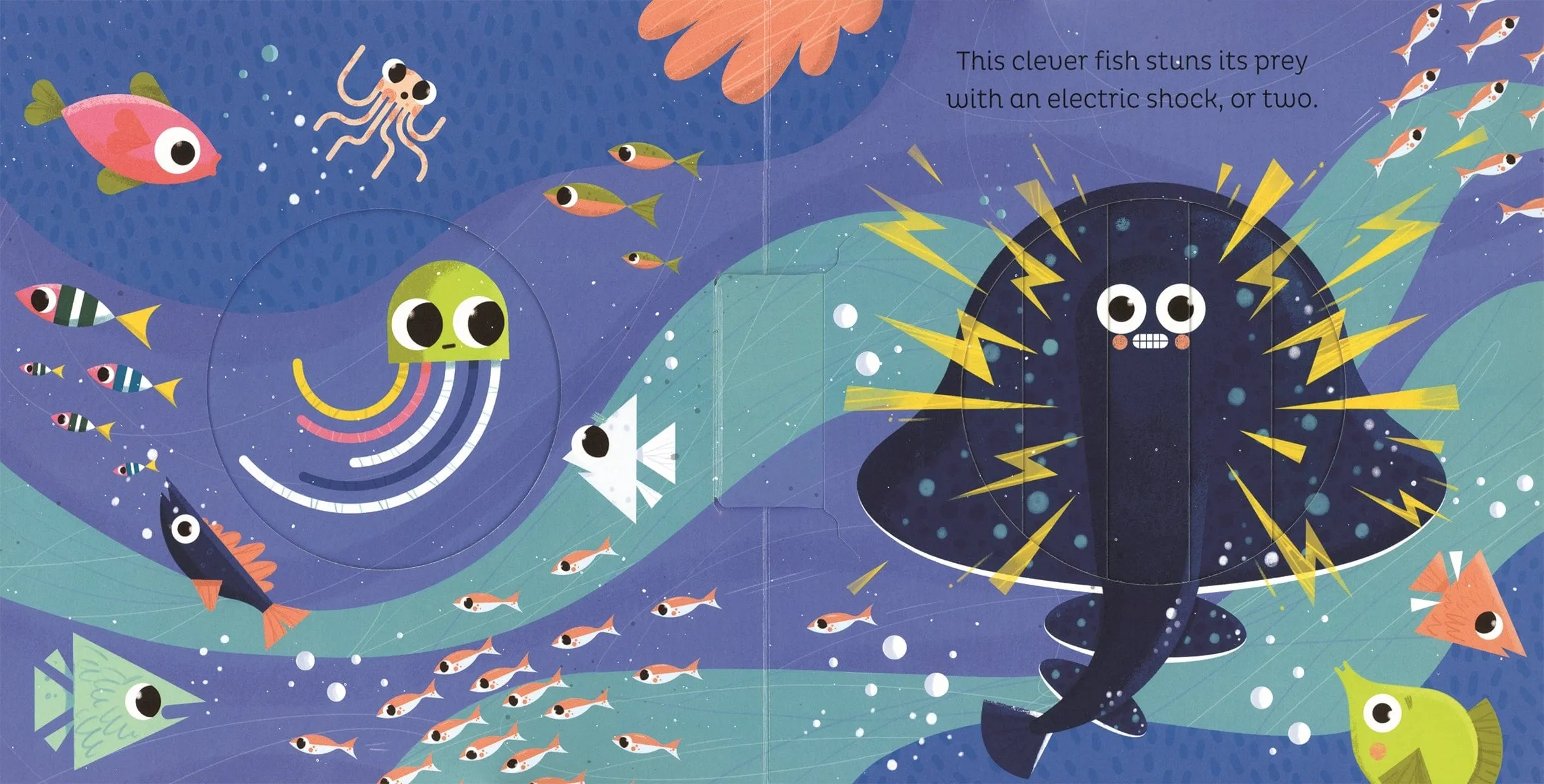 Animal Magic: in the Ocean