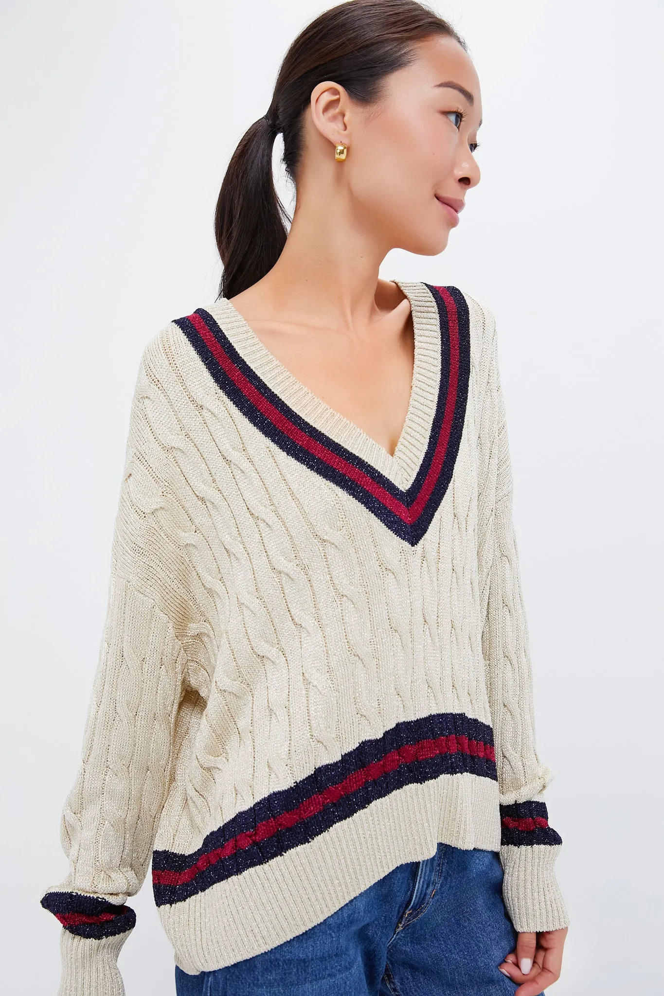 Garnet and Navy Stripe Metallic Morrissey Sweater