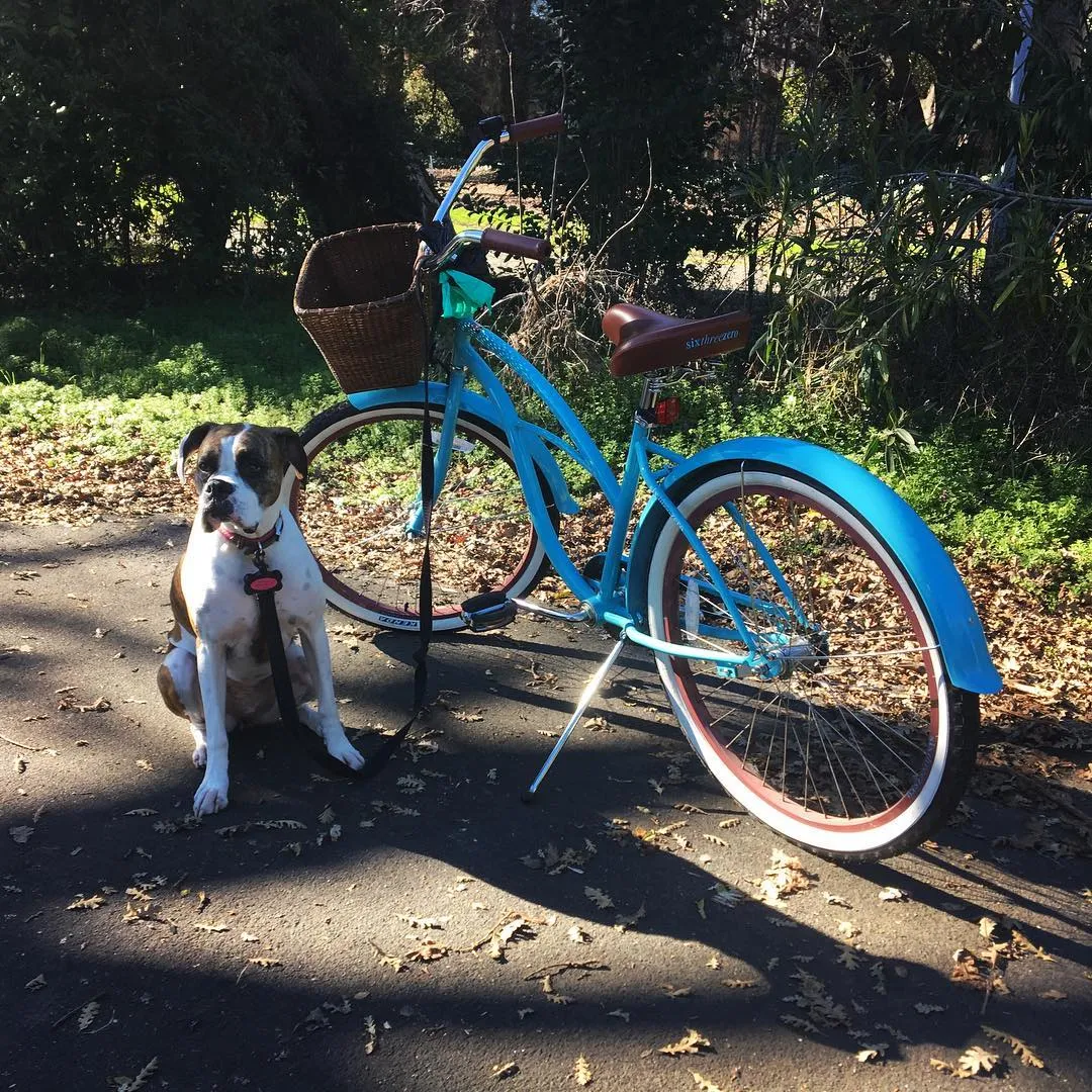 sixthreezero Dreamcycle 3 Speed Women's Beach Cruiser Bike