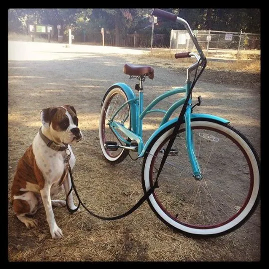 sixthreezero Dreamcycle Single Speed Women's Beach Cruiser Bike