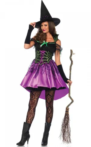 Spiderweb Witch Womens Halloween Costume