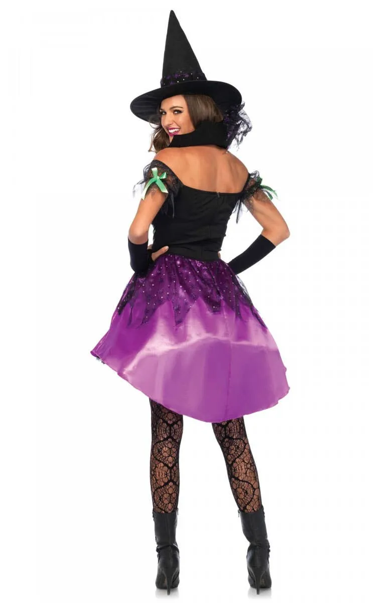 Spiderweb Witch Womens Halloween Costume